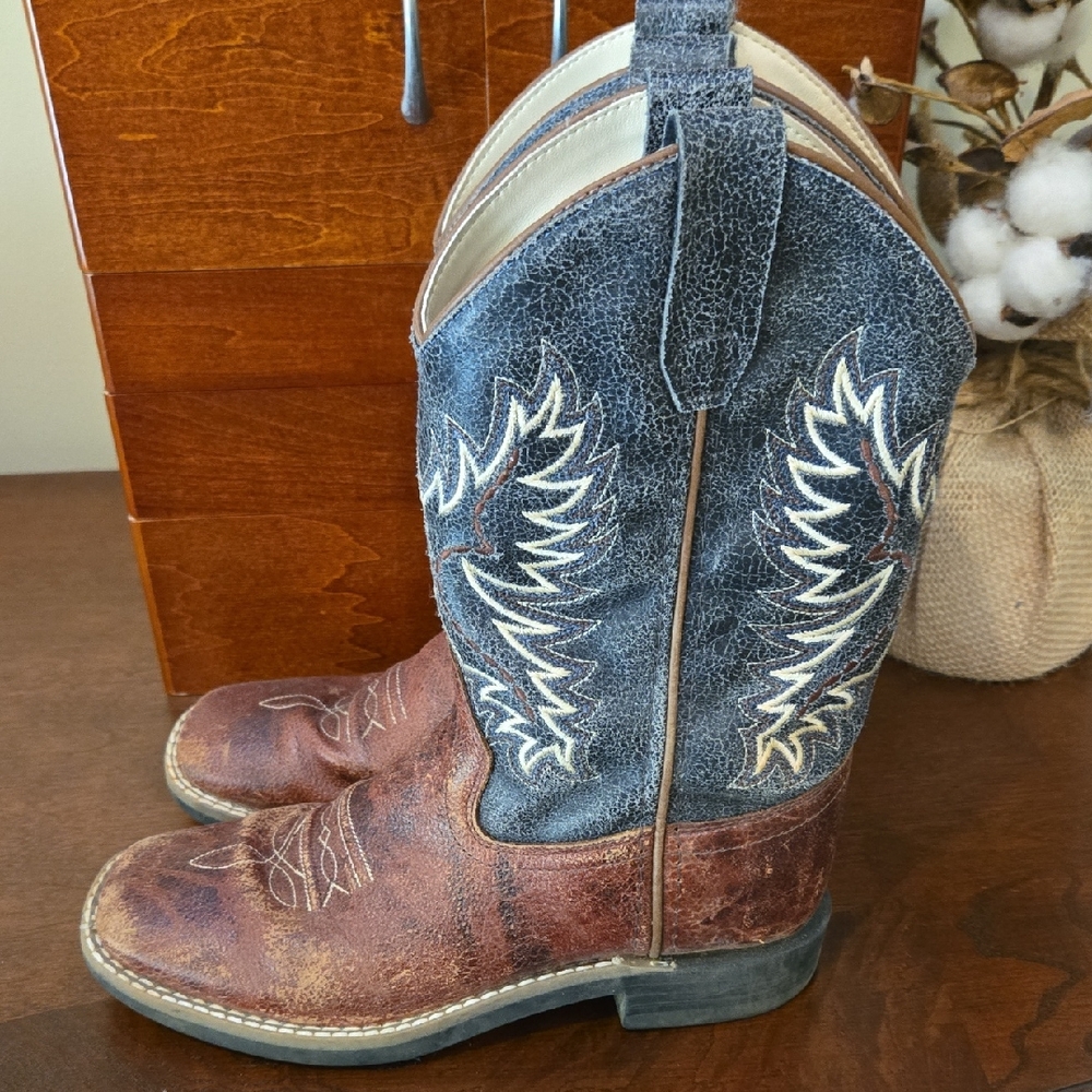 Brown and Blue Western Cowboy Boots